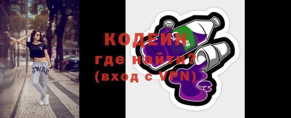 твердый Вяземский