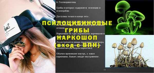 твердый Вяземский