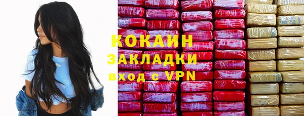 твердый Вяземский