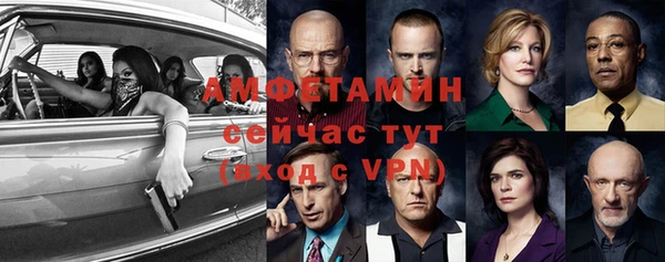 твердый Вяземский