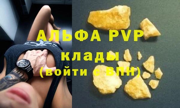 твердый Вяземский
