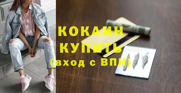 твердый Вяземский