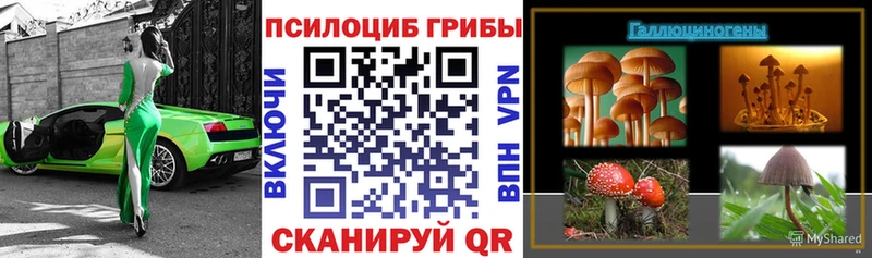 Галлюциногенные грибы Psilocybe Каменск-Уральский
